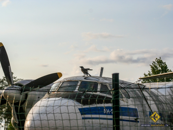 Antonov An-24B